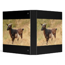 Goat Picture 3 Ring Binder