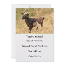 Goat Picture Custom Invite