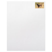 Goat Picture Letterhead Template