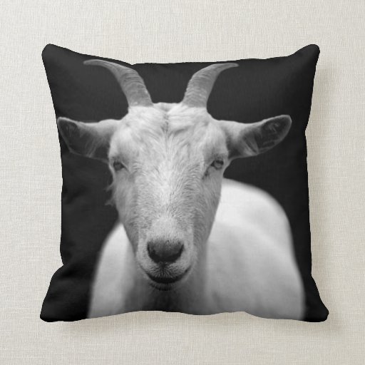 goat_pillow-rb2b66422064745458145a6574481fa42_i5fqz_8byvr_512.jpg