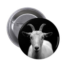 Goat Pinback Button