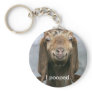 Goat pooping key chain Goat pooping key chain