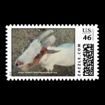 Goat stamps