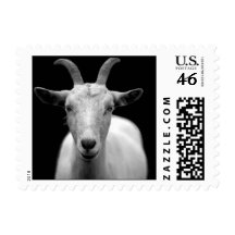 Goat Postage Stamps