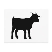 Goat Postcards