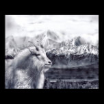 Goat Poster posters