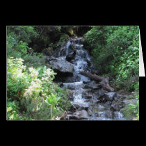 Goat Rocks Creek cards