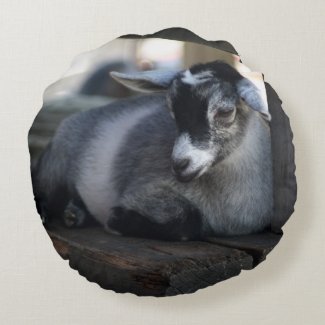 Goat Round Pillow