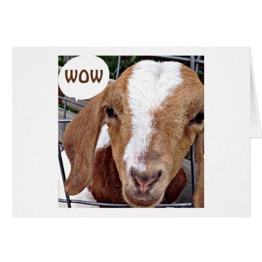 GOAT SAYS "WOW LOOK WHAT YOU HAVE DONE" CARD | Zazzle