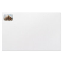 Goat skull on bamboo matt against blue back stationery