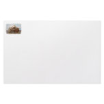 Goat skull on bamboo matt against blue back stationery