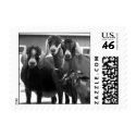 Goat Stamp (SMALL) by jasminesphotography Goat Stamp (SMALL)