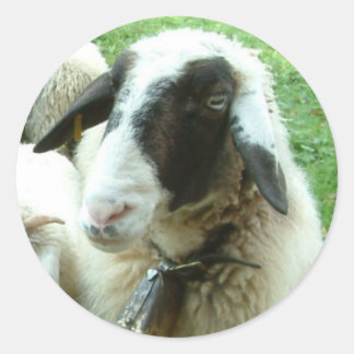 Billy Goat Stickers