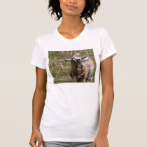 Goat t-shirts