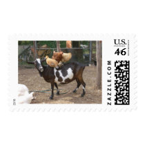 Goat taxi postage stamps
