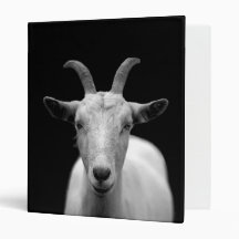 Goat Vinyl Binders
