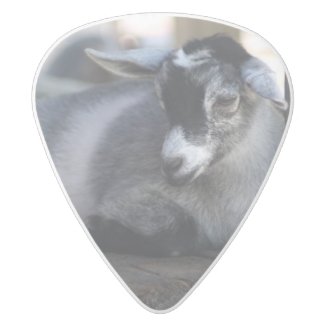 Goat White Delrin Guitar Pick