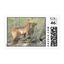 Goats At Work Stamps