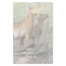 Goats At Work Stationery Design