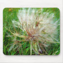 Goat's Beard mousepads by angelandspot Goat's Beard mousepads