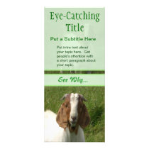 Goats Business Advert Rack Cards rack cards by wingedturtle Goats Business Advert Rack Cards rack cards