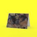 goats cards