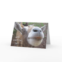 Goat's Father's Day Card