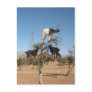 Goats in Argan tree Postcard
