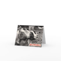 Goats in Love Valentine's Day Card