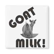 GOAT'S MILK - IT'S THE OTHER DAIRY! FRIDGE MAGNET