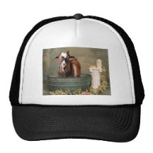 Goats need baths too hat