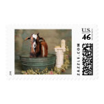 Goats need baths too stamp