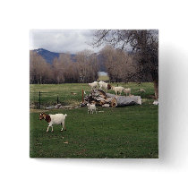 Goats On a Log buttons by JustPretty Goats On a Log buttons