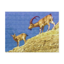 Goats postcard by laly_sb Goats postcard