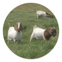 Goats Stickers by wingedturtle Goats Stickers