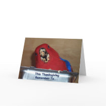 Gobble cards