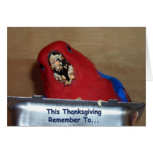 Gobble Greeting Cards