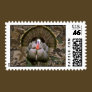 Gobbler Front View