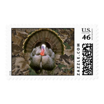 Gobbler Front View Postage Stamp