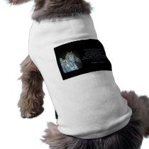 God Created Horse Dog Clothing