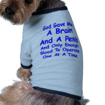 God Gave Man Brain & Penis & Only Blood For 1 pet clothing