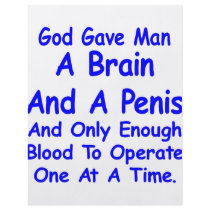 God Gave Man Brain & Penis & Only Blood For 1 flyers