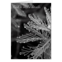 God is in the details card by debinSC God is in the details card