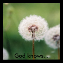 God knows... posters