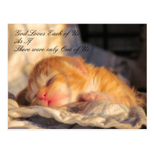 God Loves Us Postcard