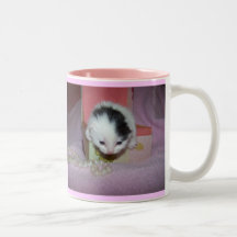 God made kittens xtra sweet! coffee mugs