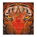 Goddess Durga and Tiger T-shirt by mysticalart Goddess Durga and Tiger T-shirt