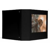 Goddess in Stone binders