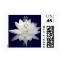 Goddess of Compassion Postage postage
