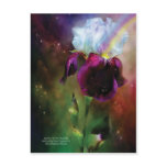 Goddess Of The Rainbow Art Postcard